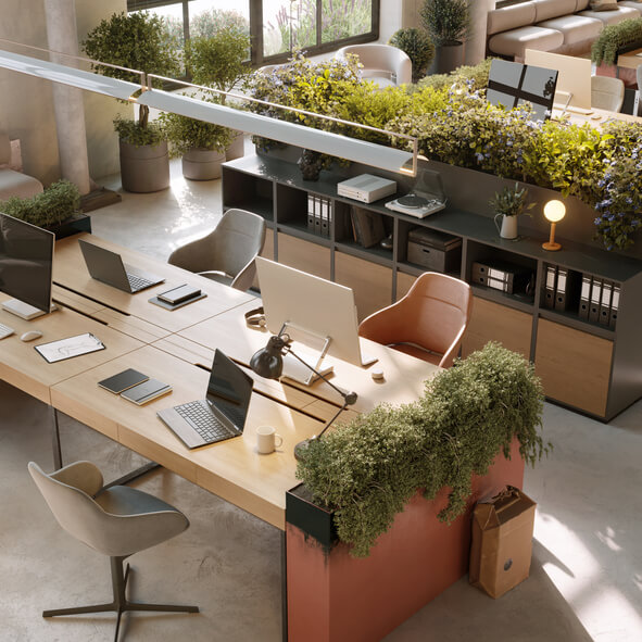 WorkAddress - Privatsphaere
